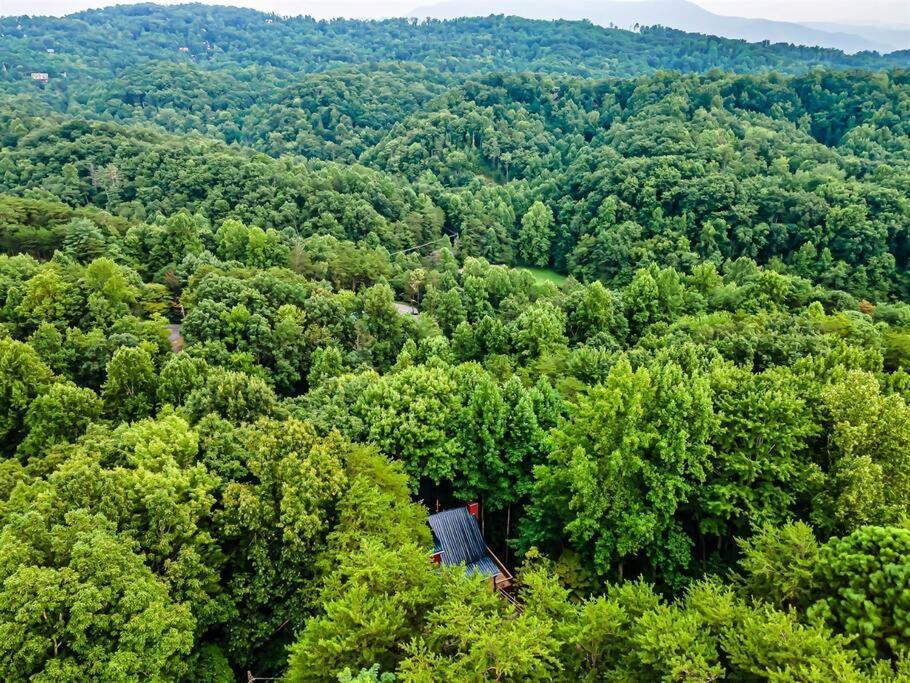 Willa Lazy Fox Retreat Sevierville Zewnętrze zdjęcie